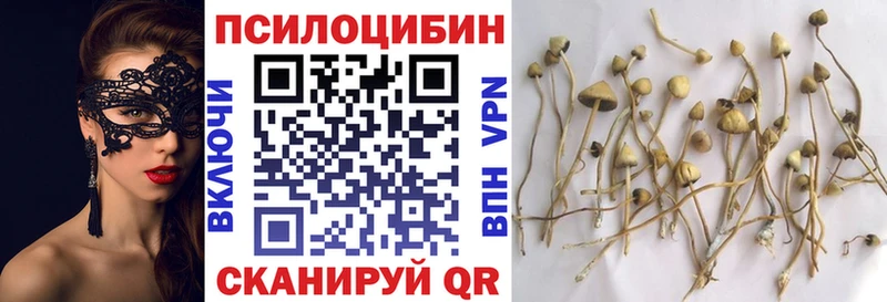 Купить  Новая Ляля  Псилоцибиновые грибы прущие грибы 